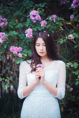 爱情公寓3在线观看免费高清完整版